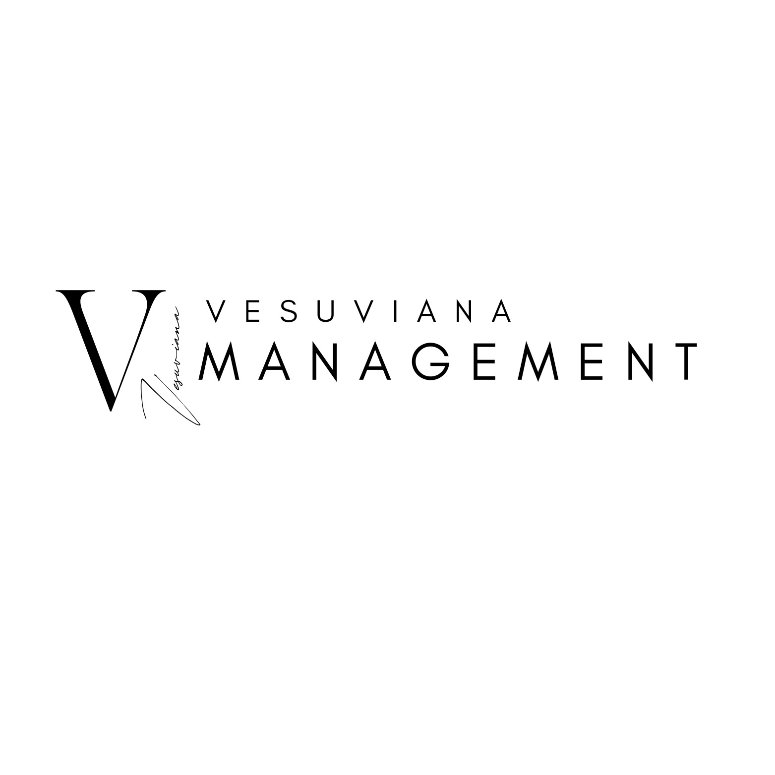 Logo La Vesuviana Management